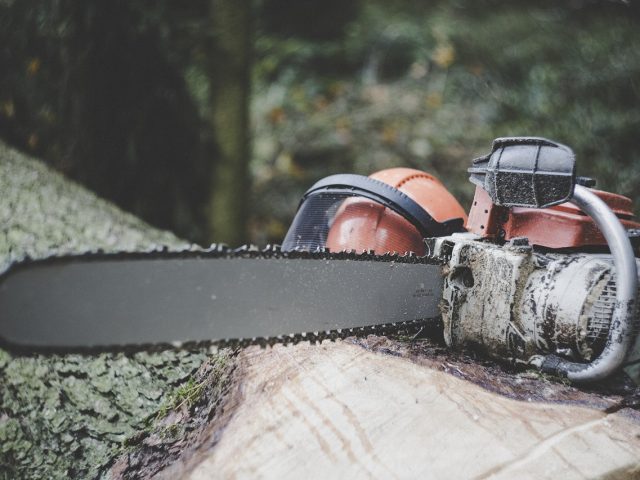 chainsaw, forestry, tree-3655667.jpg